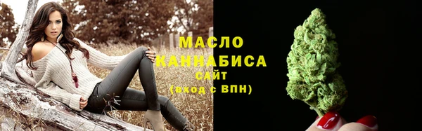 дмт Инта