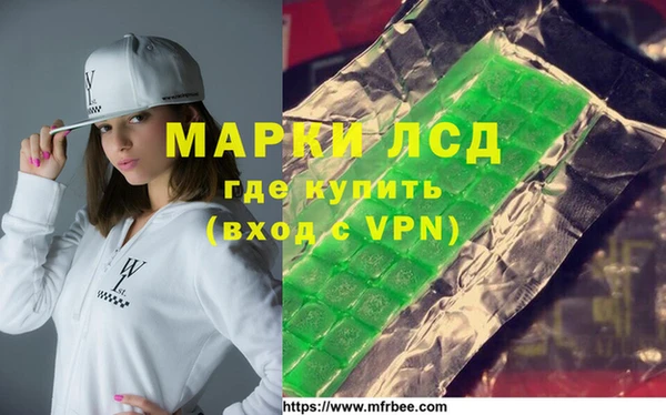 дмт Инта
