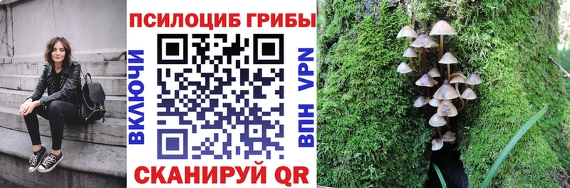 Псилоцибиновые грибы мухоморы  магазин продажи   Княгинино 